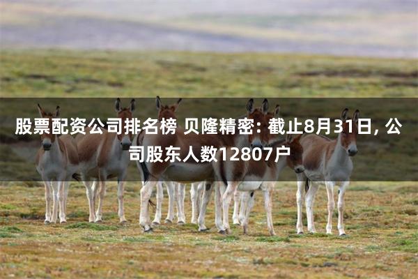 股票配资公司排名榜 贝隆精密: 截止8月31日, 公司股东人数12807户