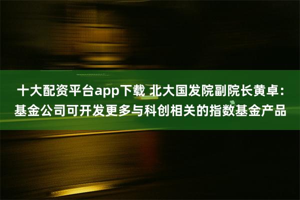 十大配资平台app下载 北大国发院副院长黄卓：基金公司可开发更多与科创相关的指数基金产品