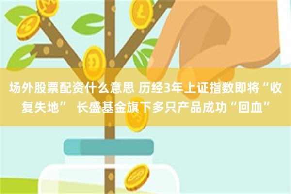 场外股票配资什么意思 历经3年上证指数即将“收复失地”  长盛基金旗下多只产品成功“回血”