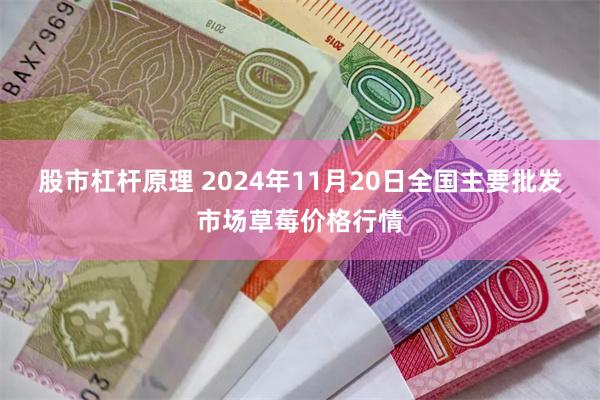 股市杠杆原理 2024年11月20日全国主要批发市场草莓价格行情