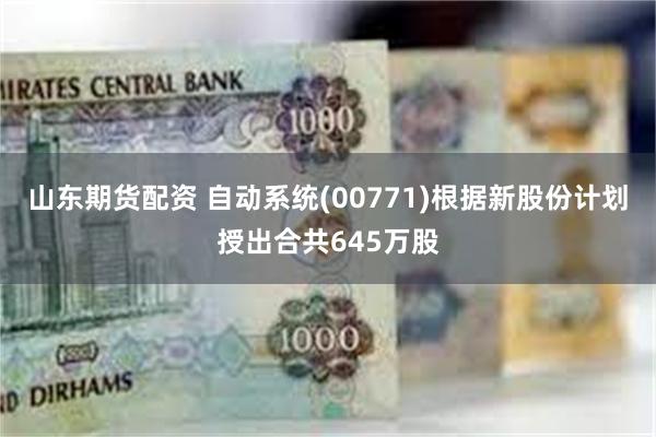 山东期货配资 自动系统(00771)根据新股份计划授出合共645万股