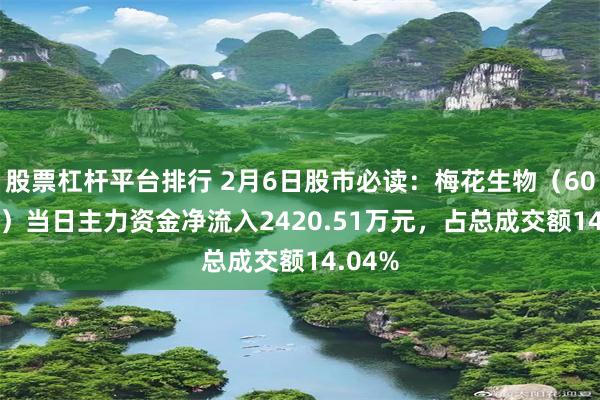 股票杠杆平台排行 2月6日股市必读：梅花生物（600873）当日主力资金净流入2420.51万元，占总成交额14.04%