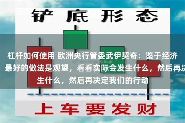 杠杆如何使用 欧洲央行管委武伊契奇：鉴于经济高度不确定性，最好的做法是观望，看看实际会发生什么，然后再决定我们的行动