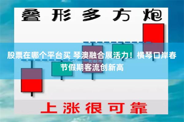 股票在哪个平台买 琴澳融合展活力！横琴口岸春节假期客流创新高