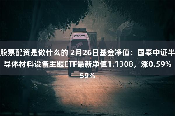 股票配资是做什么的 2月26日基金净值：国泰中证半导体材料设备主题ETF最新净值1.1308，涨0.59%