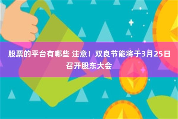 股票的平台有哪些 注意！双良节能将于3月25日召开股东大会