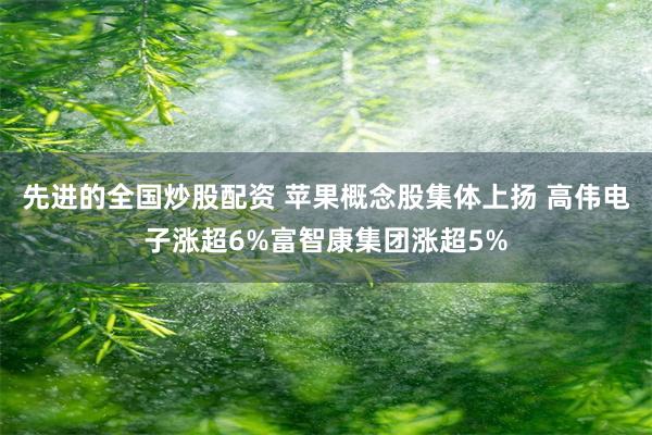 先进的全国炒股配资 苹果概念股集体上扬 高伟电子涨超6%富智康集团涨超5%