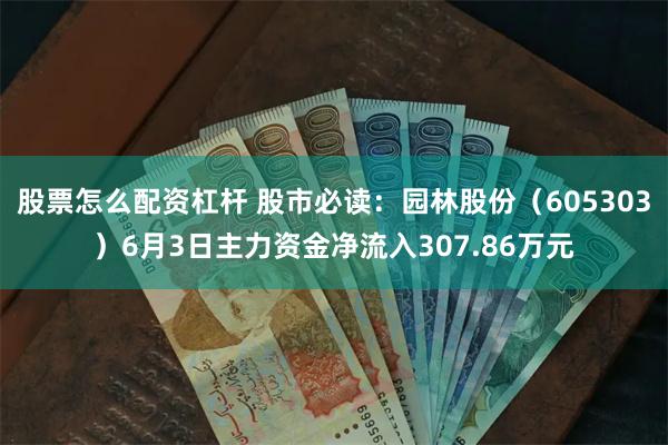 股票怎么配资杠杆 股市必读：园林股份（605303）6月3日主力资金净流入307.86万元